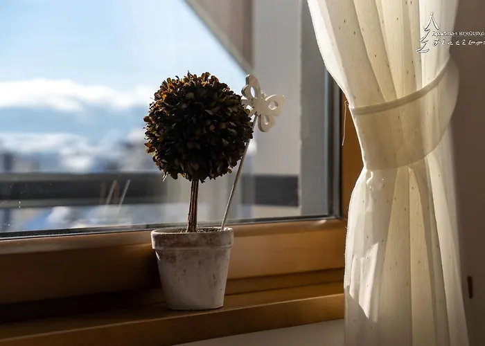 Berolina 2 * 즐라티보